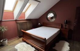 Penthouse 4 camere, 163 mp, zona Buna-Ziua