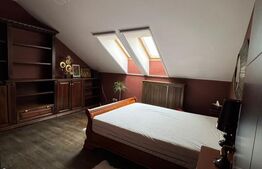 Penthouse 4 camere, 163 mp, zona Buna-Ziua