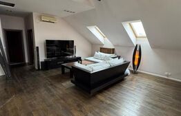 Penthouse 4 camere, 163 mp, zona Buna-Ziua