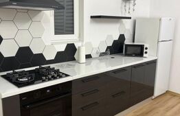   Apartament spațios de inchiriat cu 1 camera, zona Baciu,CHELTUIELI INCLUSE!