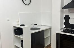   Apartament spațios de inchiriat cu 1 camera, zona Baciu,CHELTUIELI INCLUSE!
