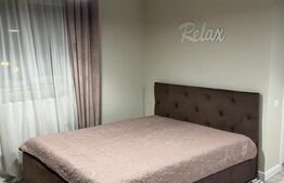   Apartament spațios de inchiriat cu 1 camera, zona Baciu,CHELTUIELI INCLUSE!