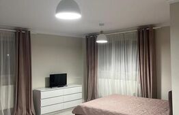   Apartament spațios de inchiriat cu 1 camera, zona Baciu,CHELTUIELI INCLUSE!