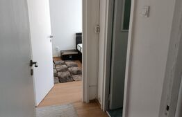 Apartament 2 camere , 50mp, cart Grigorescu, Pet friendly 