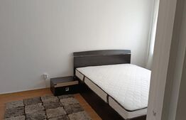 Apartament 2 camere , 50mp, cart Grigorescu, Pet friendly 