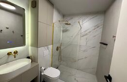 Apartament cu o camera, pet friendly, zona Constantin Brancusi