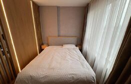 Apartament cu o camera, pet friendly, zona Constantin Brancusi