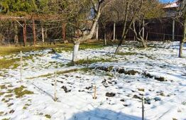 Casa deosebita Baciu - Sacele - Pret bun