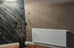 Spatiu comercial, 190 mp, zona centrala, Brasov