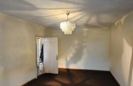 Apartament 2 camere, zona Constantin Brancusi