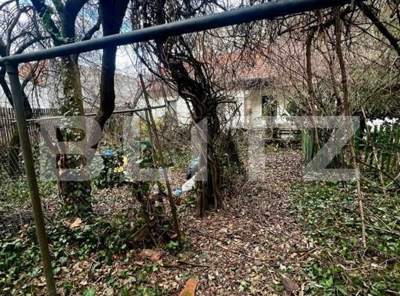 Apartament de închiriat 2 camere Central - 164539AI | BLITZ Cluj-Napoca | Poza8