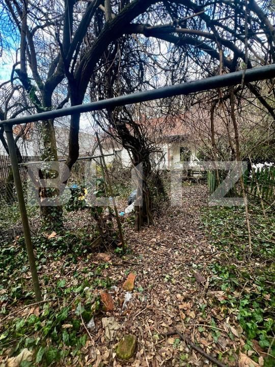 Apartament de închiriat 2 camere Central - 164539AI | BLITZ Cluj-Napoca | Poza8