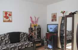 Vanzare garsoniera 40 mp, terasa 31 mp, boxa subsol, zona Piata Mihai Viteazu