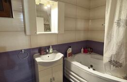 Apartament cu 2 camere, pet friendly, parcare, zona strazii Paris