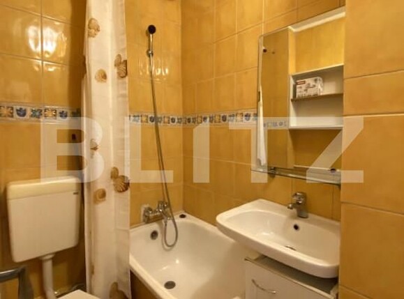 Garsonieră de închiriat Gheorgheni - 164596AI | BLITZ Cluj-Napoca | Poza9