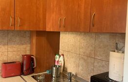 Garsonieră de inchiriat, 28 mp, modernă, confort și accesibilitate, zona Mărăști