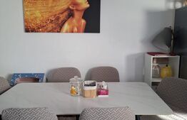 Apartament spatios cu 2 camere, 56 mp, zona Tractorul