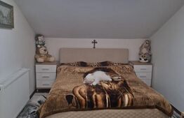 Apartament spatios cu 2 camere, 56 mp, zona Tractorul