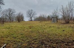 Duplex la rosu in Luna, langa Campia Turzii