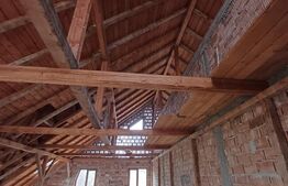 Duplex la rosu in Luna, langa Campia Turzii