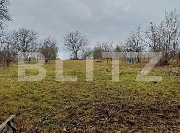 Casa de vânzare 10 camere Luna - 164679CV | BLITZ Cluj-Napoca | Poza25