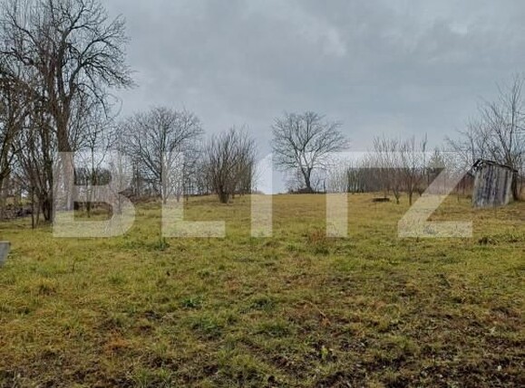 Casa de vânzare 10 camere Luna - 164679CV | BLITZ Cluj-Napoca | Poza23