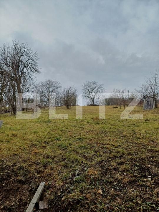 Casa de vânzare 10 camere Luna - 164679CV | BLITZ Cluj-Napoca | Poza23