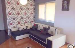 3 camere, 65 mp, mobilat lux, terasa 36 mp, strada Beiusului