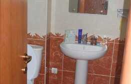 Apartament cu O camera de inchiriat in zona centrala.