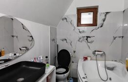 Cabană din Cristian la schimb cu casa/cabana in zone retrase din Judetul Brasov