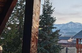 Cabană din Cristian la schimb cu casa/cabana in zone retrase din Judetul Brasov