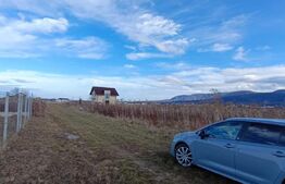 Urgent !Teren intravilan cu utilitati - Zarnesti