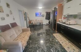 Apartament 2 camere, 46mp, la cheie,  zona Porii
