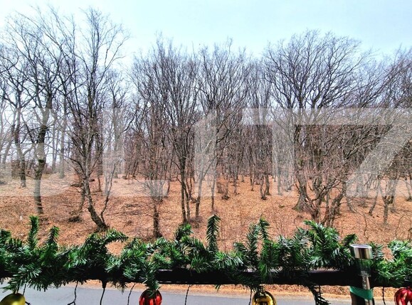 Casa de vânzare 4 camere Manastur - 164744CV | BLITZ Cluj-Napoca | Poza19