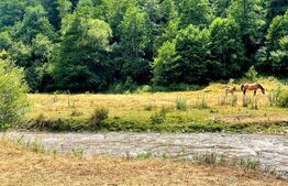 Teren intravilan, 2892mp, langa Raul Iara/Aries, acces usor, sat Surduc