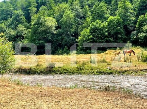 Teren de vânzare Iara - 164746TV | BLITZ Cluj-Napoca | Poza2