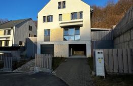 Duplex cu 4 camere, 2 garaje, semifinisat, zona manastirii Floresti 