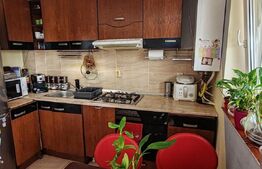 Apartament 2 camere, terasa, panorama, Zona Petrom/Baciu !