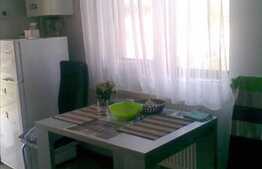 46 mp utili in constructie noua!