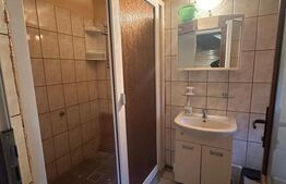 Casa familiala cu gradina, curte si garaj - Sacele, Brasov