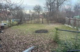 Casa familiala cu gradina, curte si garaj - Sacele, Brasov