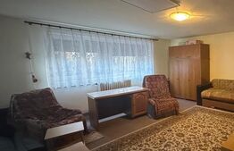 Casa familiala cu gradina, curte si garaj - Sacele, Brasov