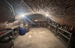 Casa familiala cu gradina, curte si garaj - Sacele, Brasov