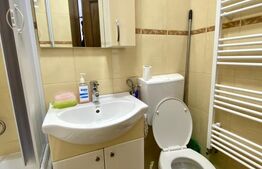  casa de inchiriat,  Pet friendly! Zona Centrala
