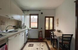 Casa individuala de inchiriat cu 1 camera generoasa,  PET Friendly zona Centrala