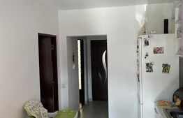 Apartament 2 camere decomandate, gradina de 30mp ,zona Eroilor