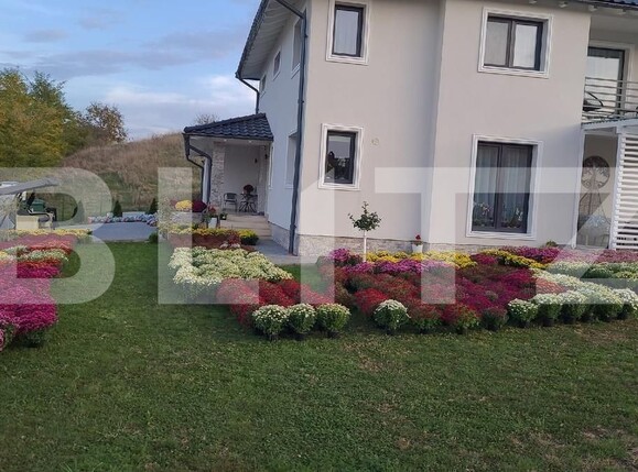 Casa de vânzare 6 camere Cătina - 164985CV | BLITZ Cluj-Napoca | Poza6
