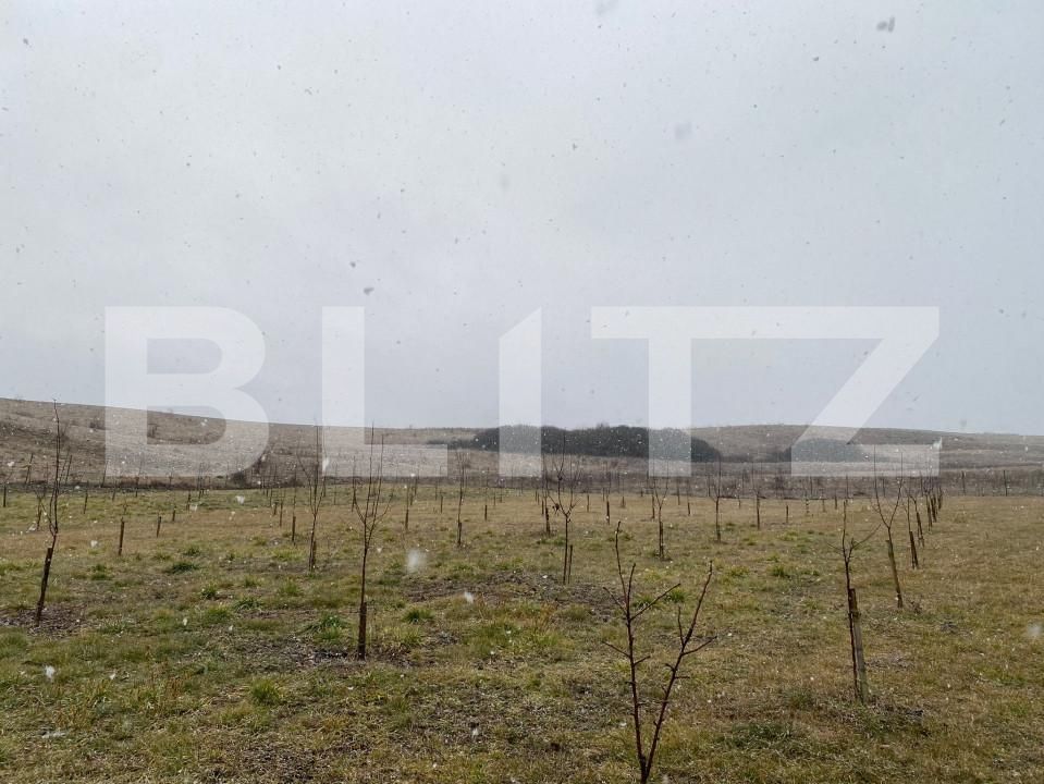 Casa de vânzare 6 camere Apahida - 164985CV | BLITZ Cluj-Napoca | Poza22