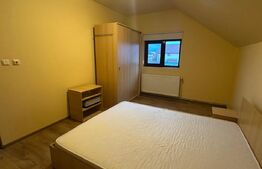 Casă individuală, mobilata, utilata, terasa, gradina - Izvor, Tarlungeni