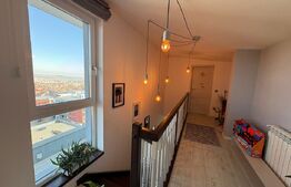 Penthouse modern, pet friendly, zona Augustin Presecan